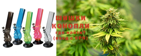 индика Баксан