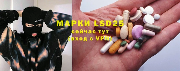 индика Баксан