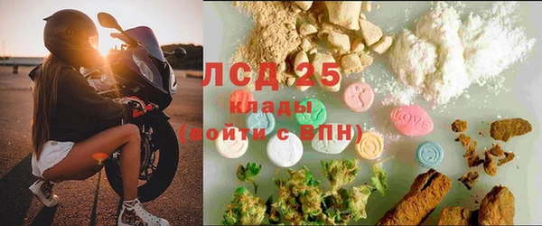 индика Баксан