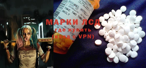 индика Баксан