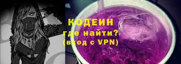 индика Баксан