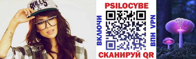 Псилоцибиновые грибы Psilocybine cubensis  Петровск-Забайкальский 